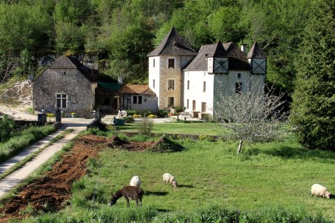  Quelle est la fiscalité pour un monument historique loué en saisonnier ?  